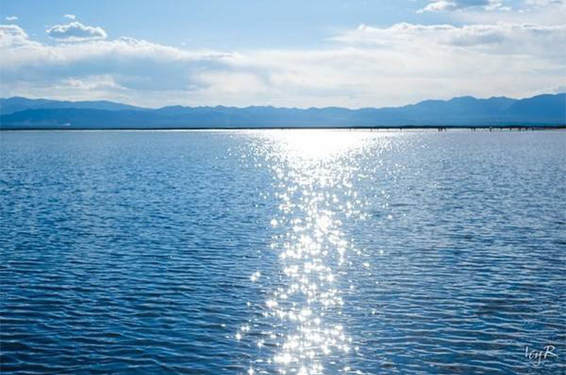 How should aquaculture farmers use wave pumps effectively?