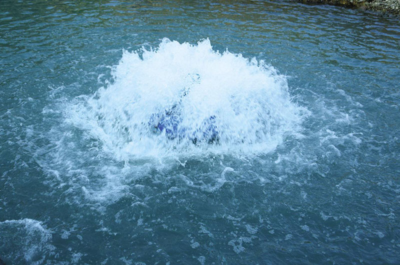 A Study on the Oxygenation Effect of Wave Surge Machines in Litopenaeus vannamei Farming