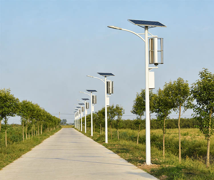 Zhedong Wind Power Brand Wind-Solar Hybrid Street Lights